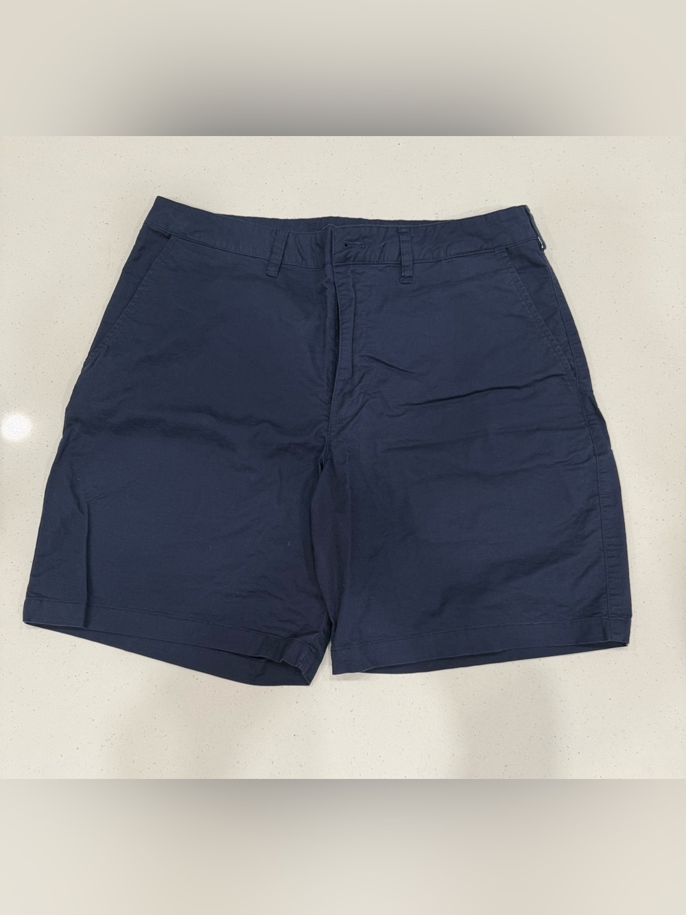 Patagonia Men's Navy Flat Front Shorts